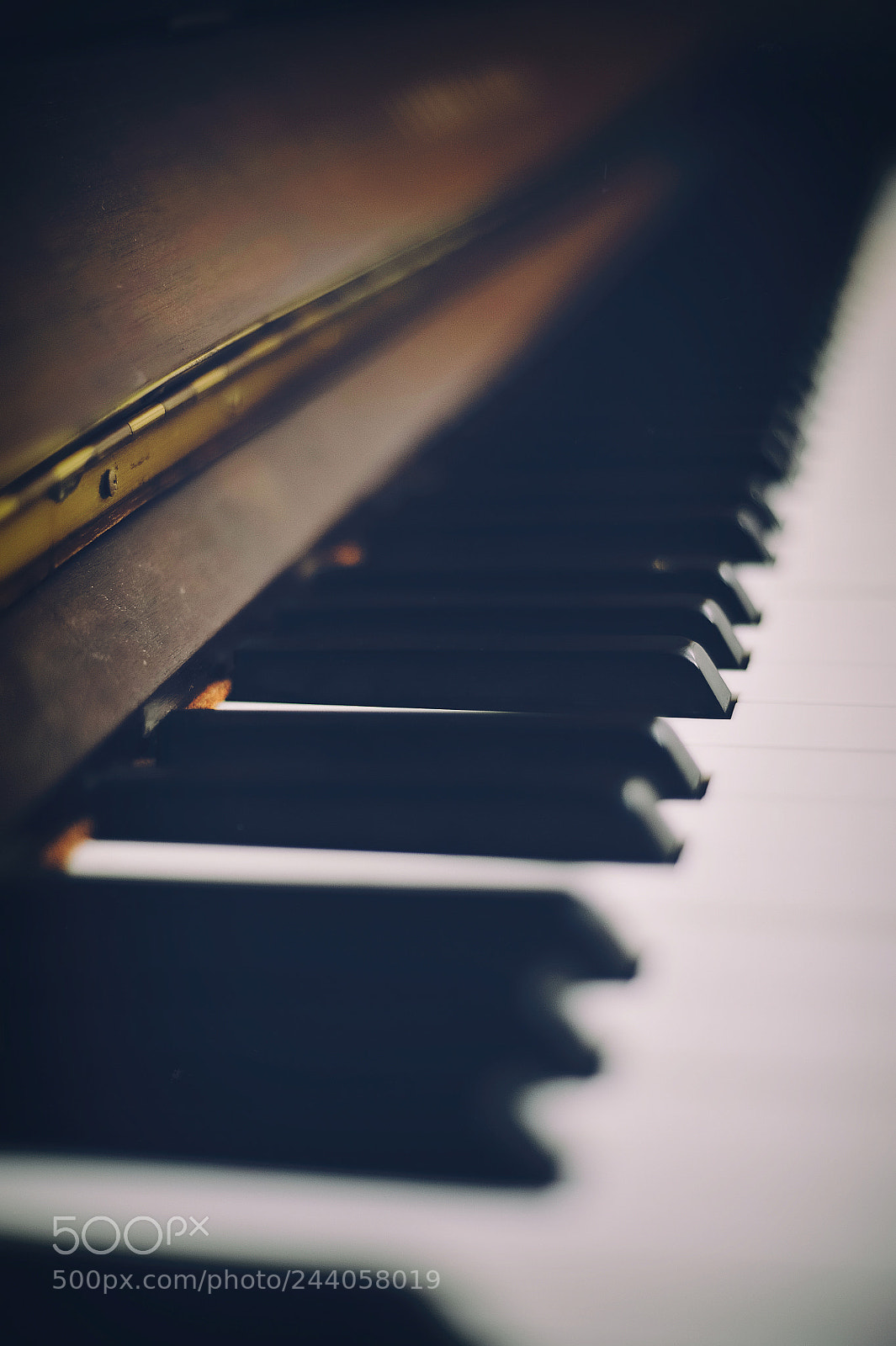 Nikon D3 sample photo. Melody nowhere photography