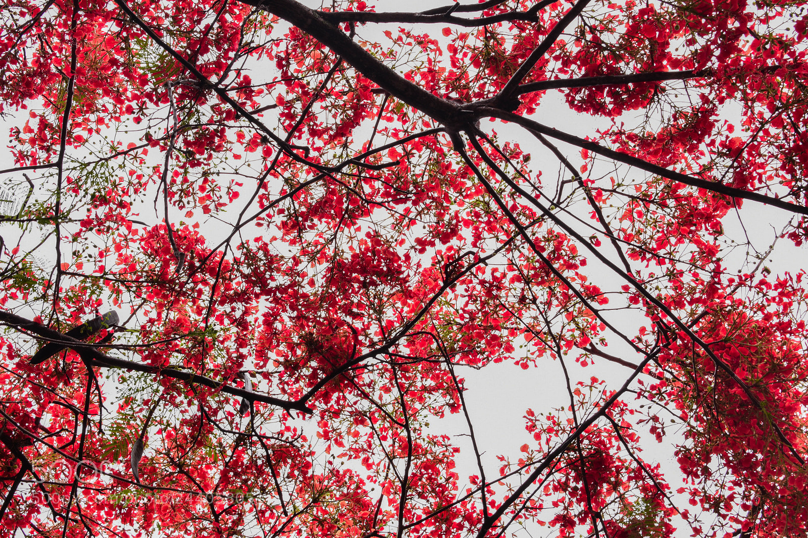 Nikon D3400 sample photo. Get lost photography