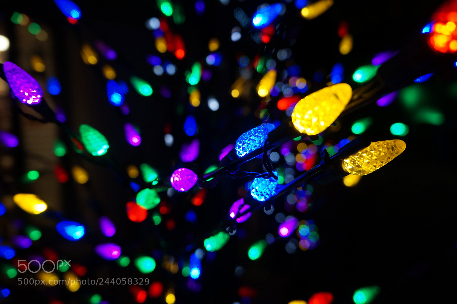Sony Alpha NEX-F3 sample photo. Tree lights photography