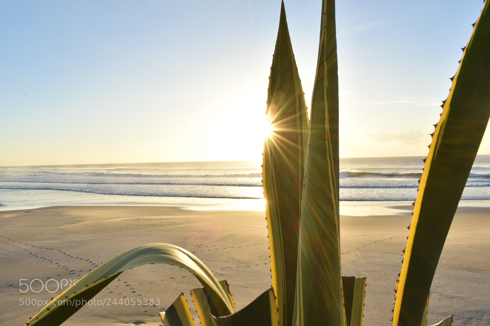 Nikon D3400 sample photo. Sunhide photography