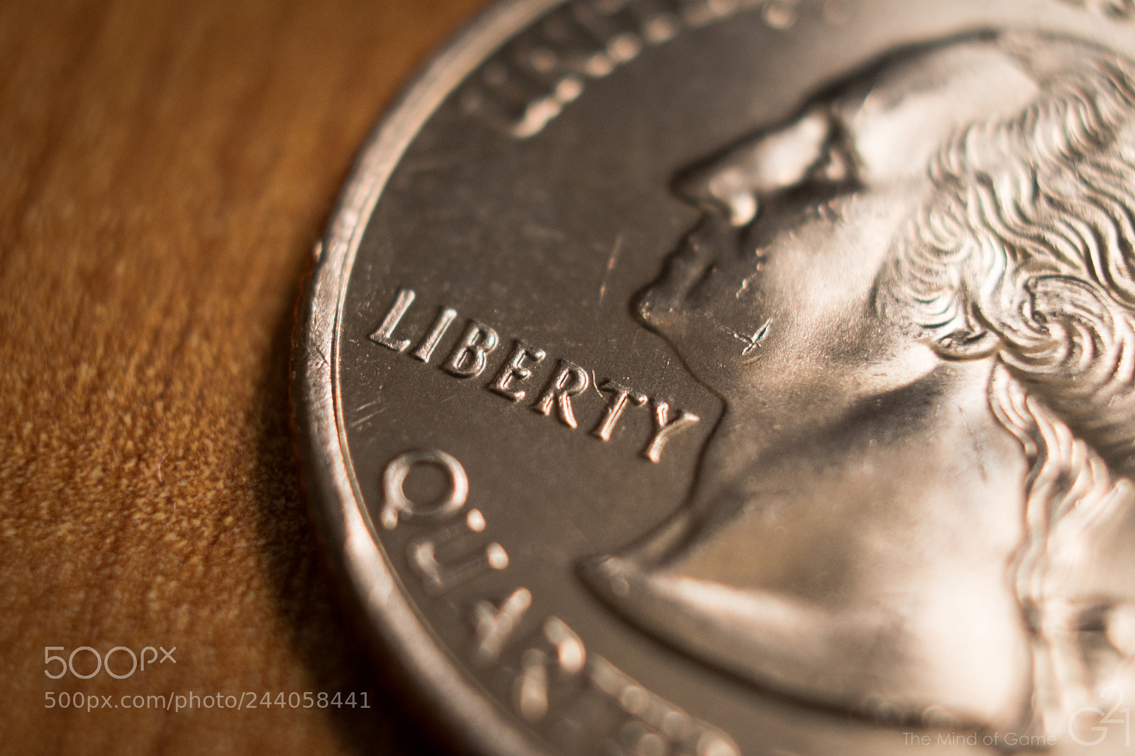 Nikon D3400 sample photo. Quarter macro photography
