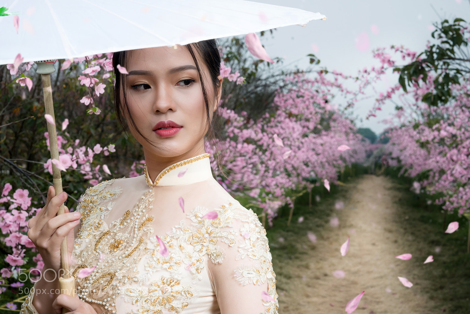 Nikon D800 sample photo. Vietnam photography