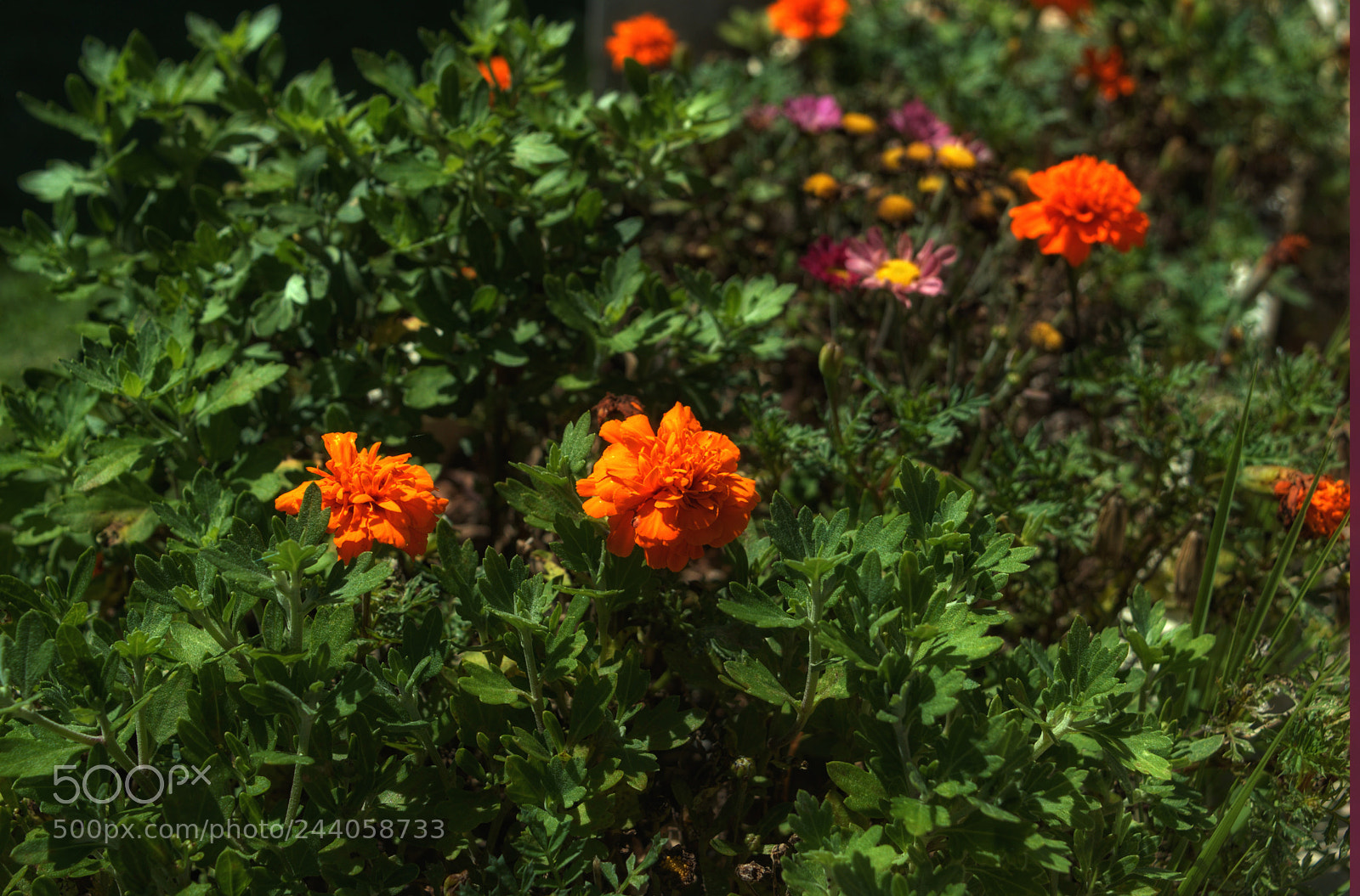 Nikon D3200 sample photo. Untitled photography