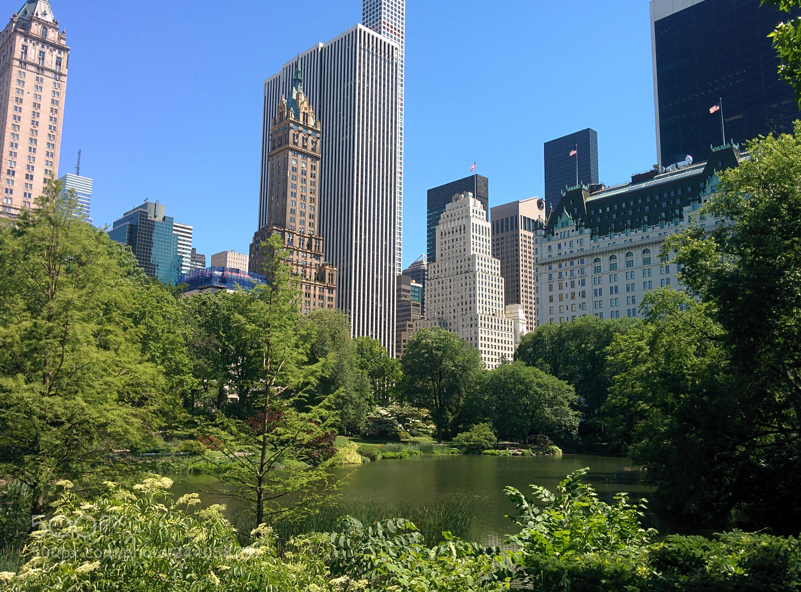 LG Nexus 5 sample photo. Ny central park.jpg photography