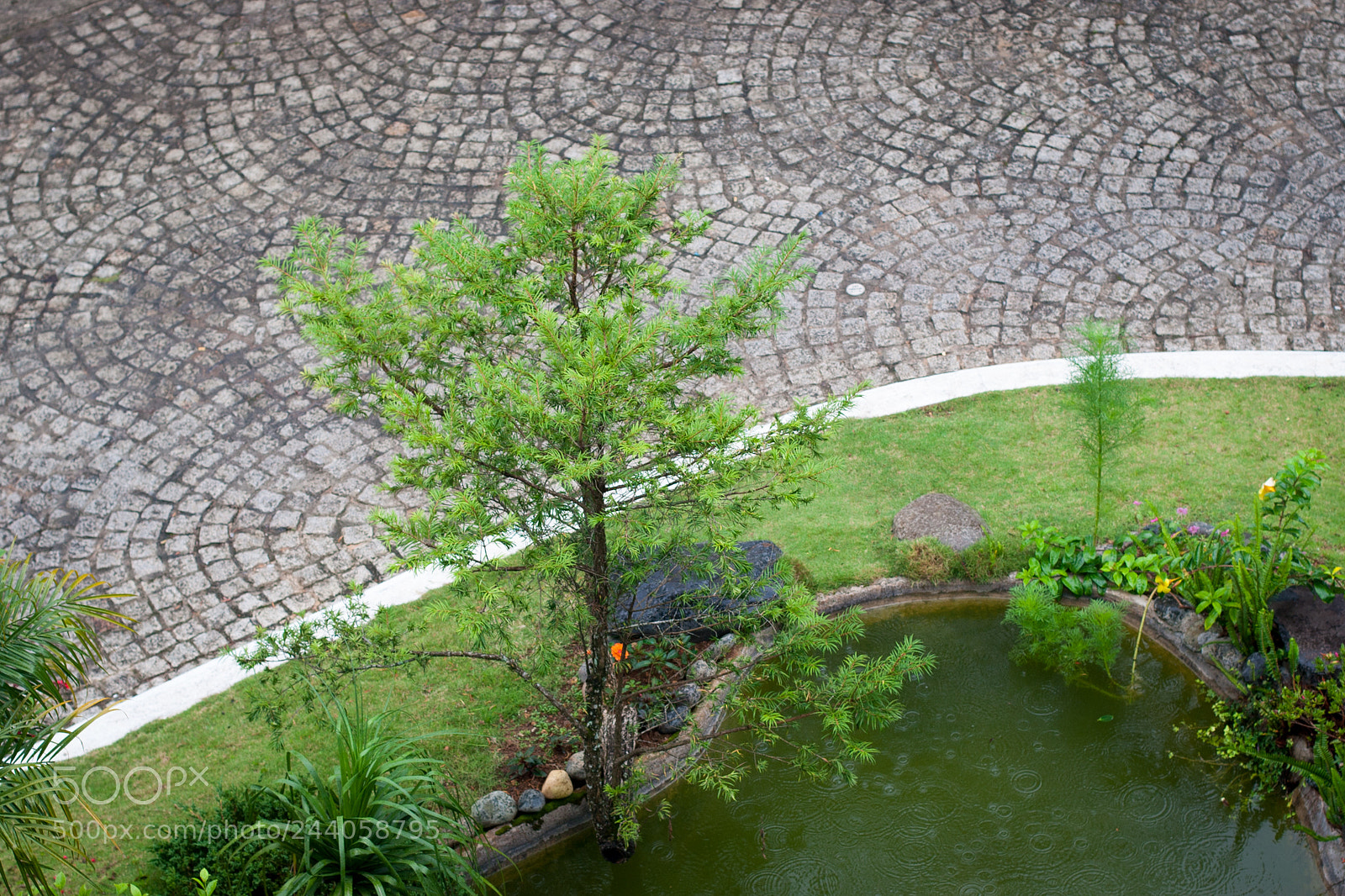 Canon EOS 20D sample photo. In the rain photography