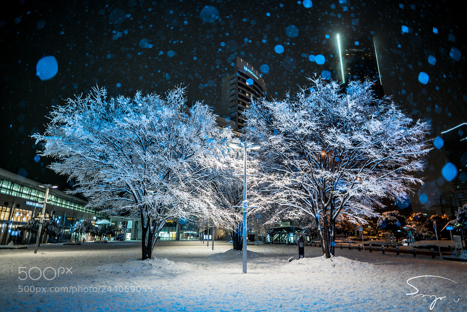 Sony a7R II sample photo. That's like a cherry photography