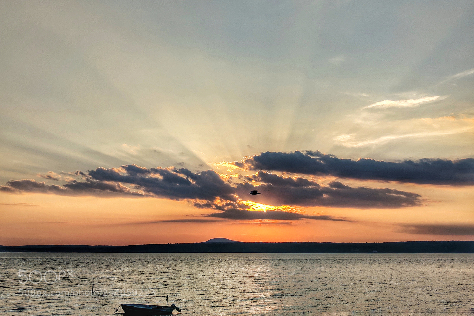 Google Pixel XL sample photo. A bird and sunset photography