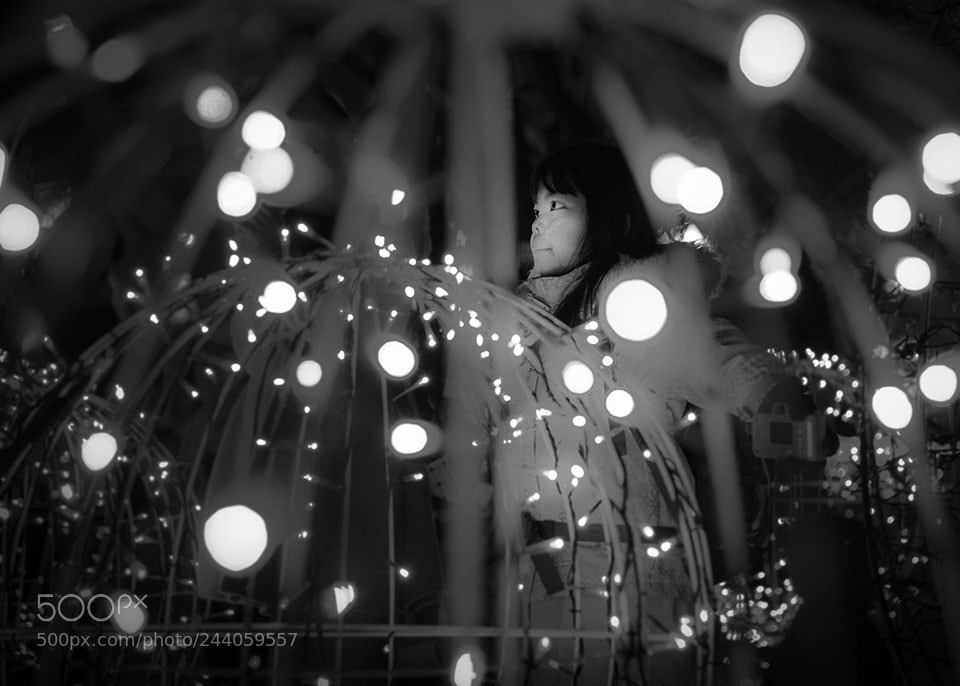 Nikon Df sample photo. 大通公園b photography