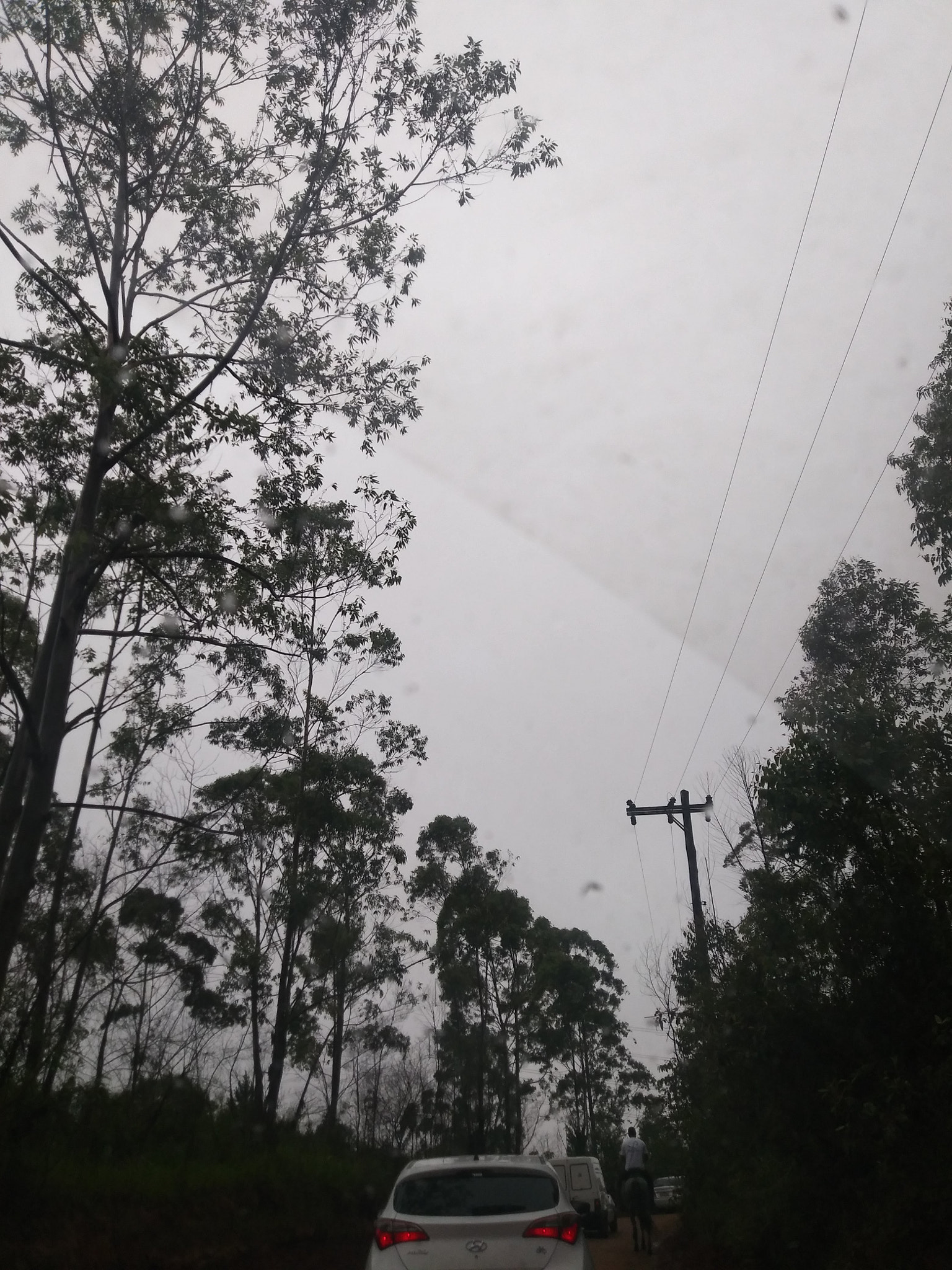 LG Q6 sample photo