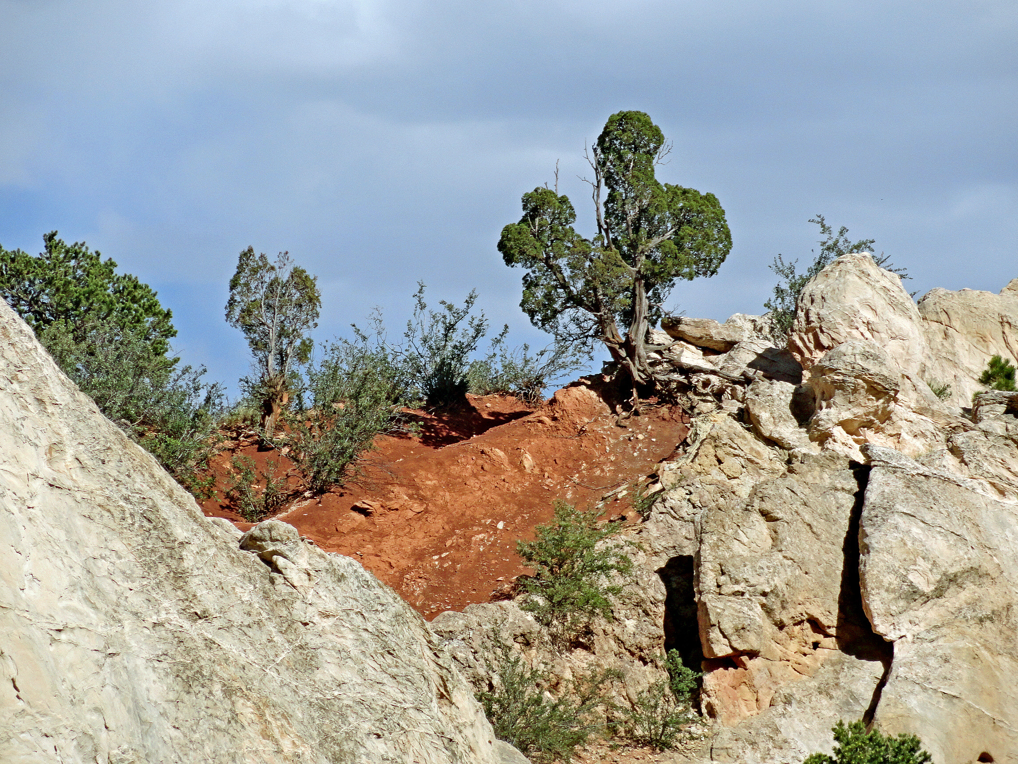 Sony Cyber-shot DSC-H70 sample photo. Garden of the gods study 2 photography