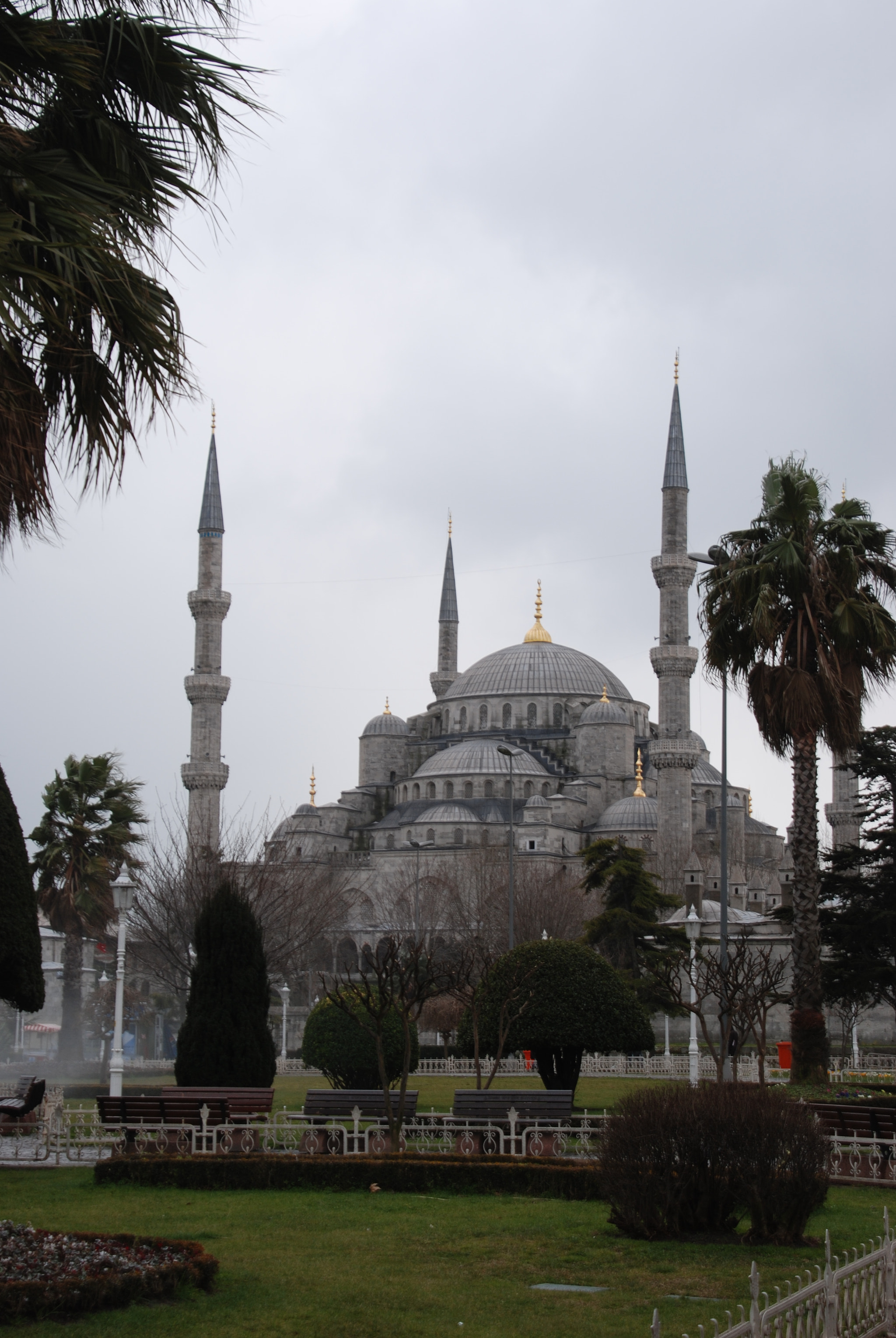 Nikon D80 sample photo. Hajia sophia photography