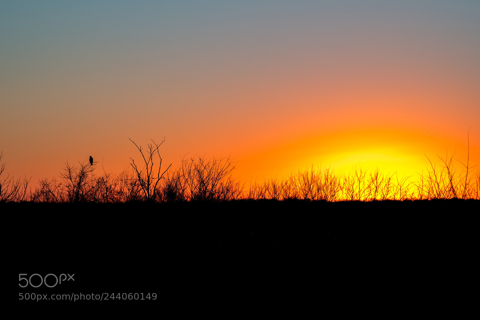 Fujifilm X-E3 sample photo. Sunset by the lake photography