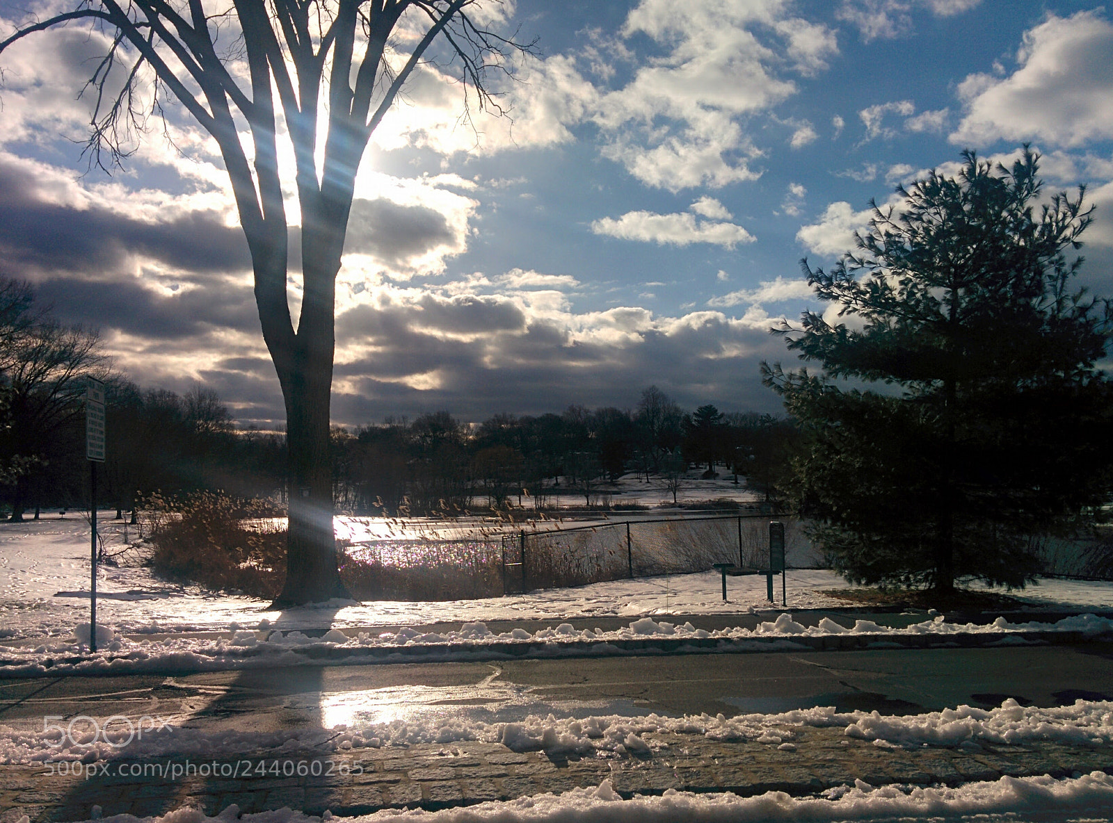 LG Nexus 5 sample photo. Briant park nj.jpg photography