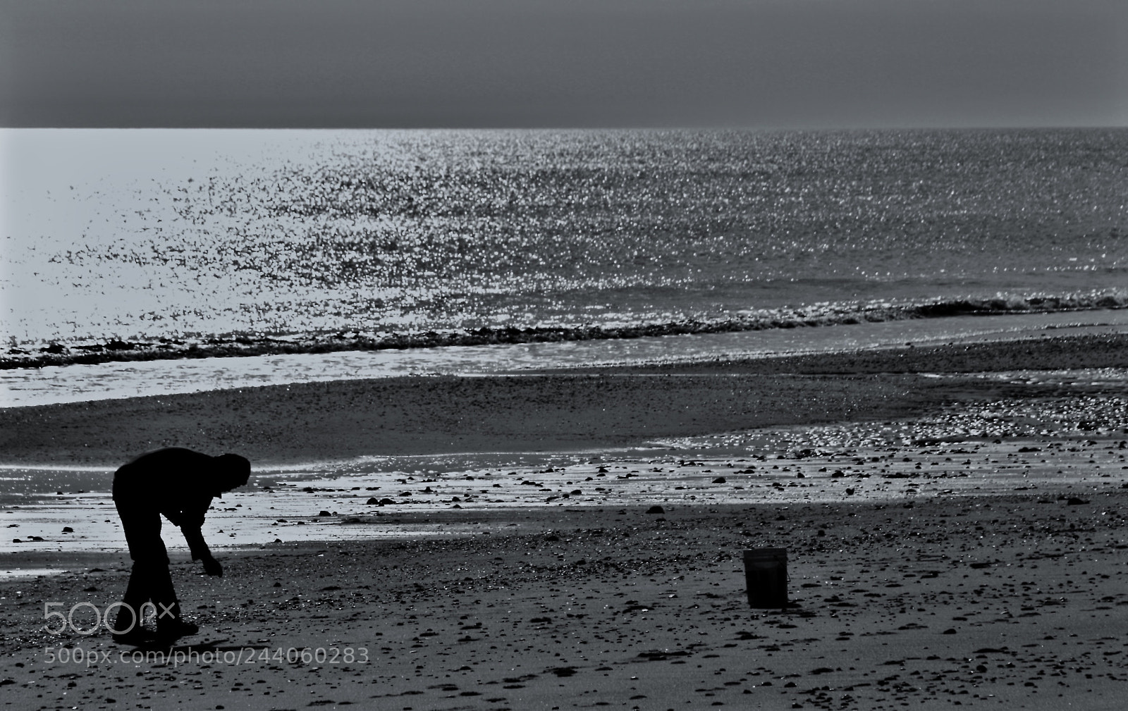 Canon EOS 40D sample photo. Silhouette, photography