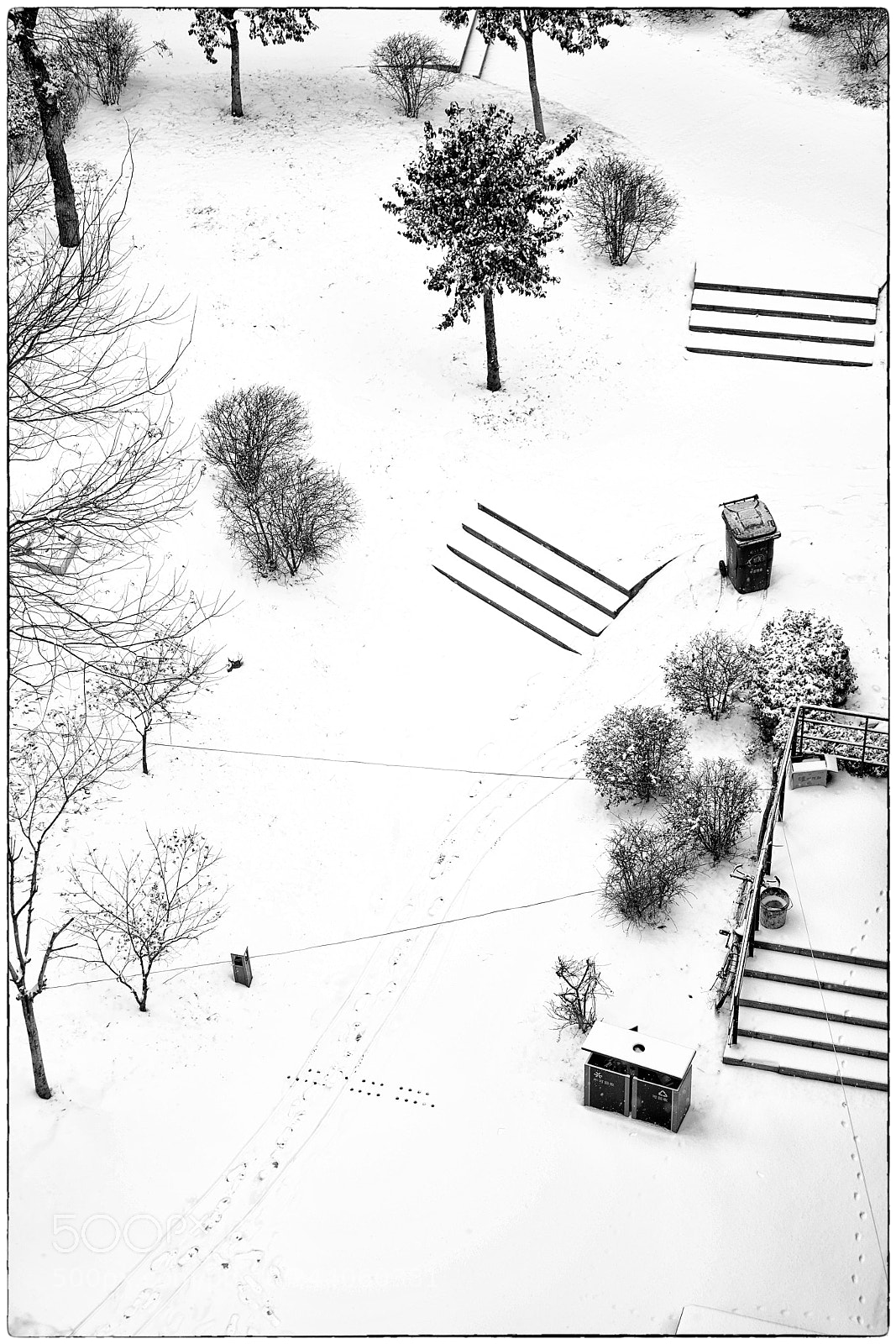 Sony a7R III sample photo. Snowing06 photography