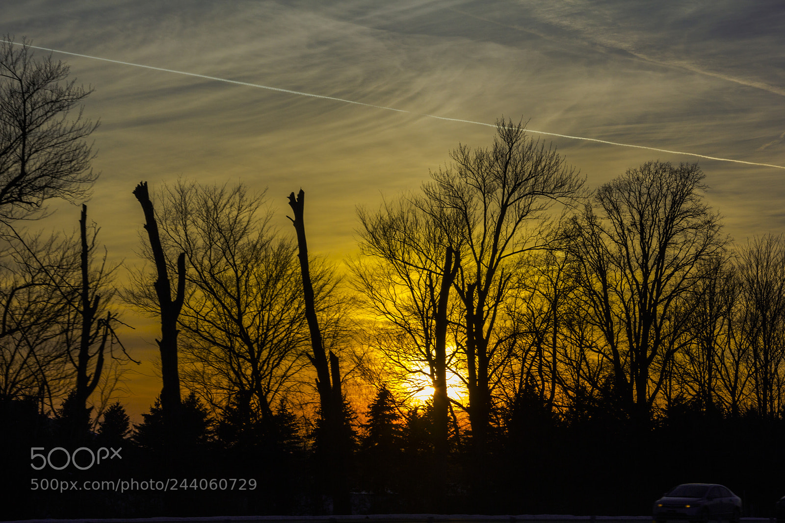 Canon EOS 60D sample photo. Sunrise with treeline photography