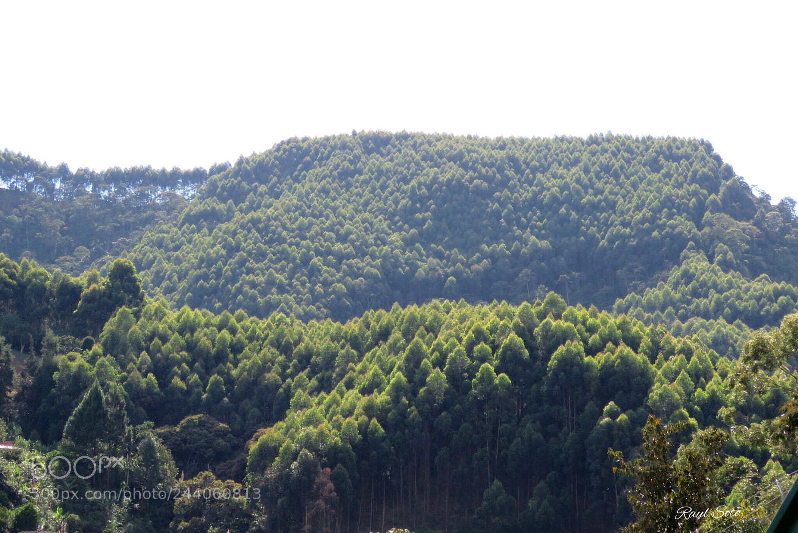 Canon PowerShot SX60 HS sample photo. Mirando al sur photography