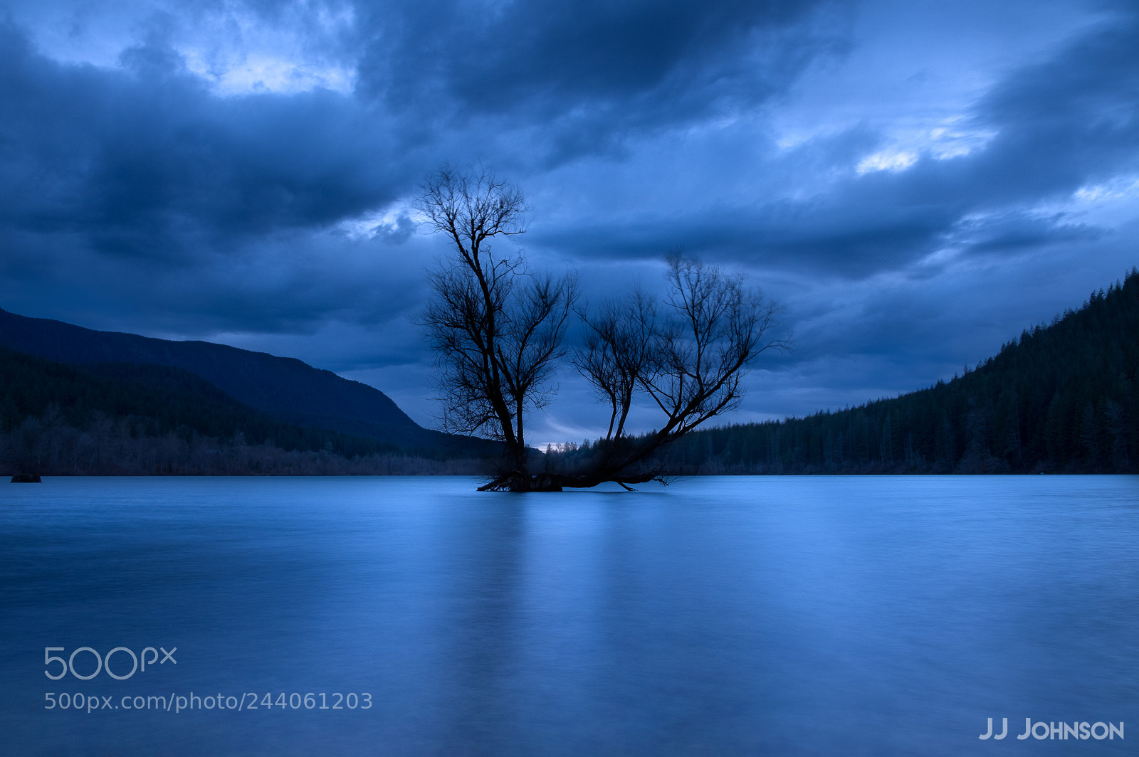 Fujifilm X-T10 sample photo. Rattlesnake tree blue hour photography