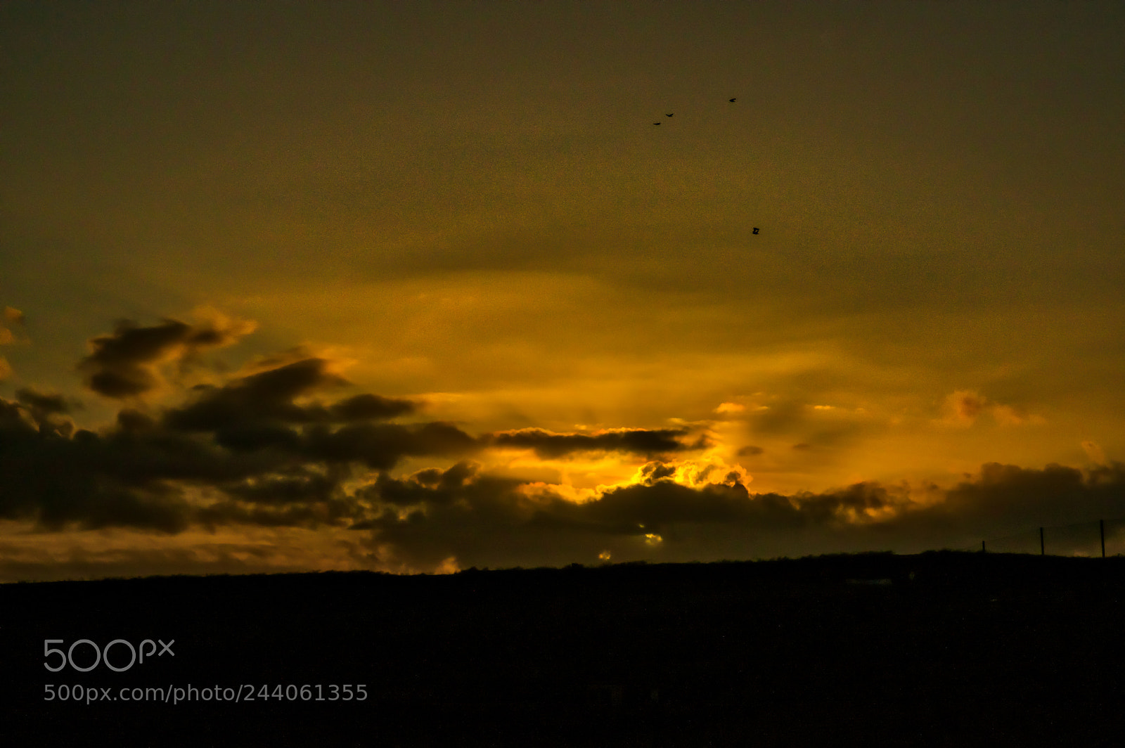 Pentax K-3 II sample photo. Brushy peak sunset photography