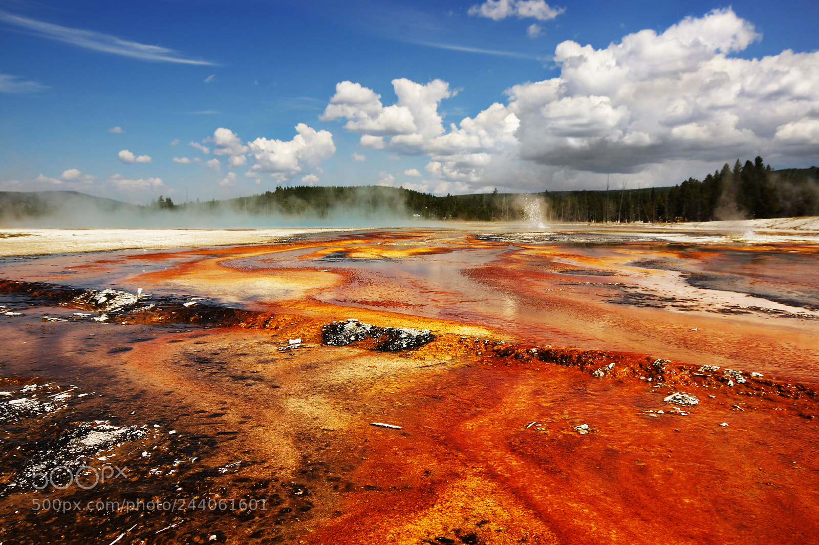 Pentax K-3 II sample photo. Microbial colors photography