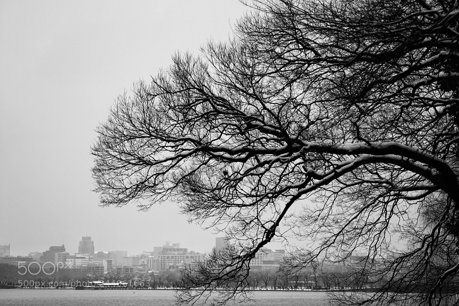 Sony a7 II sample photo. The lake and city! photography