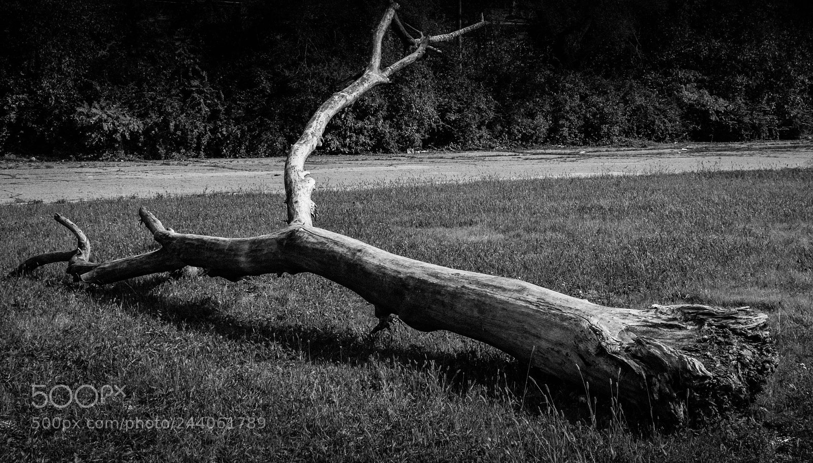 Nikon D3200 sample photo. Untitled photography