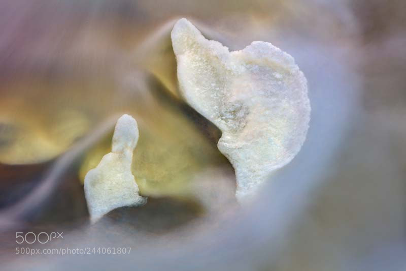 Canon EOS 5DS sample photo. Ice formation photography