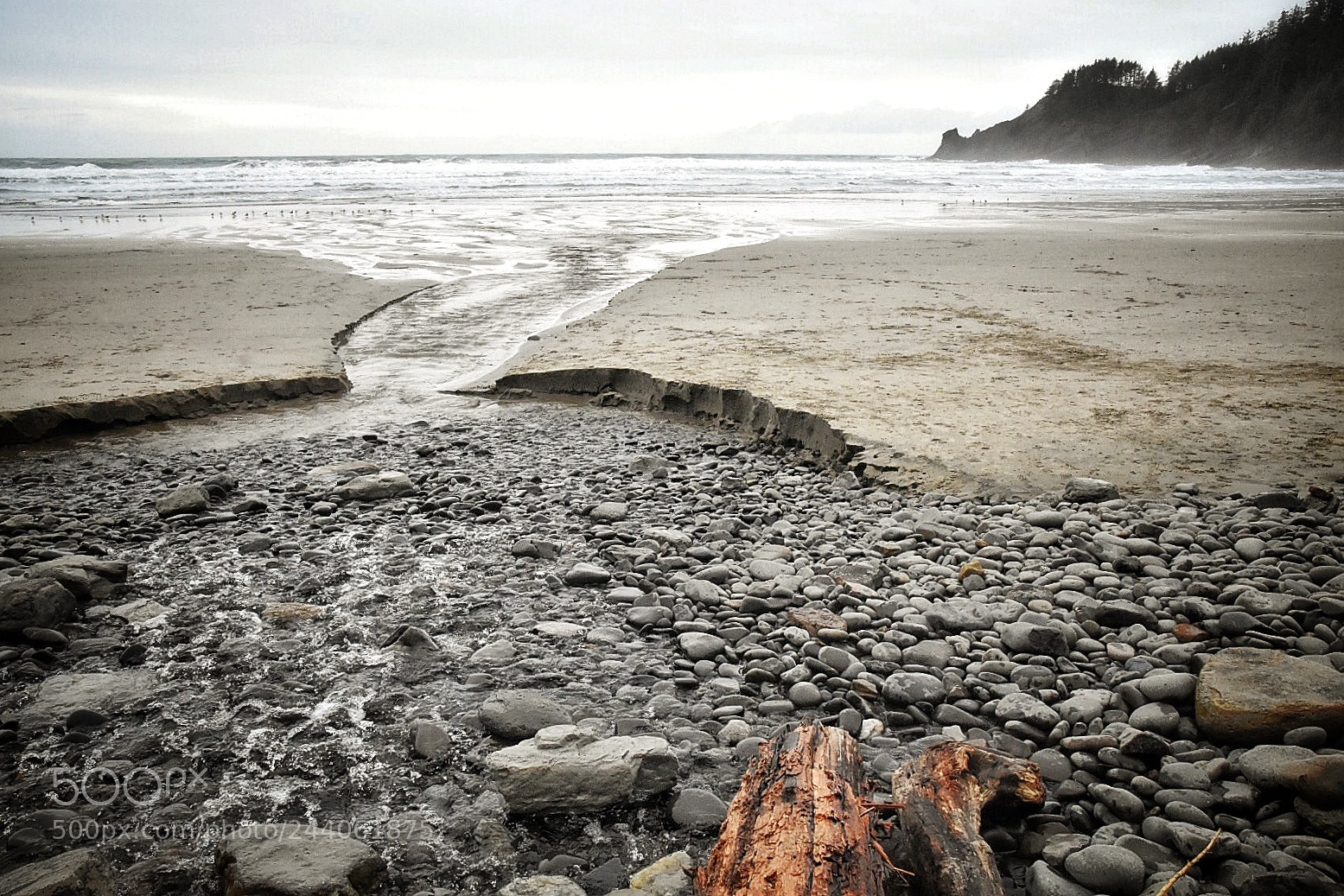 Nikon D7200 sample photo. Oswald beach photography