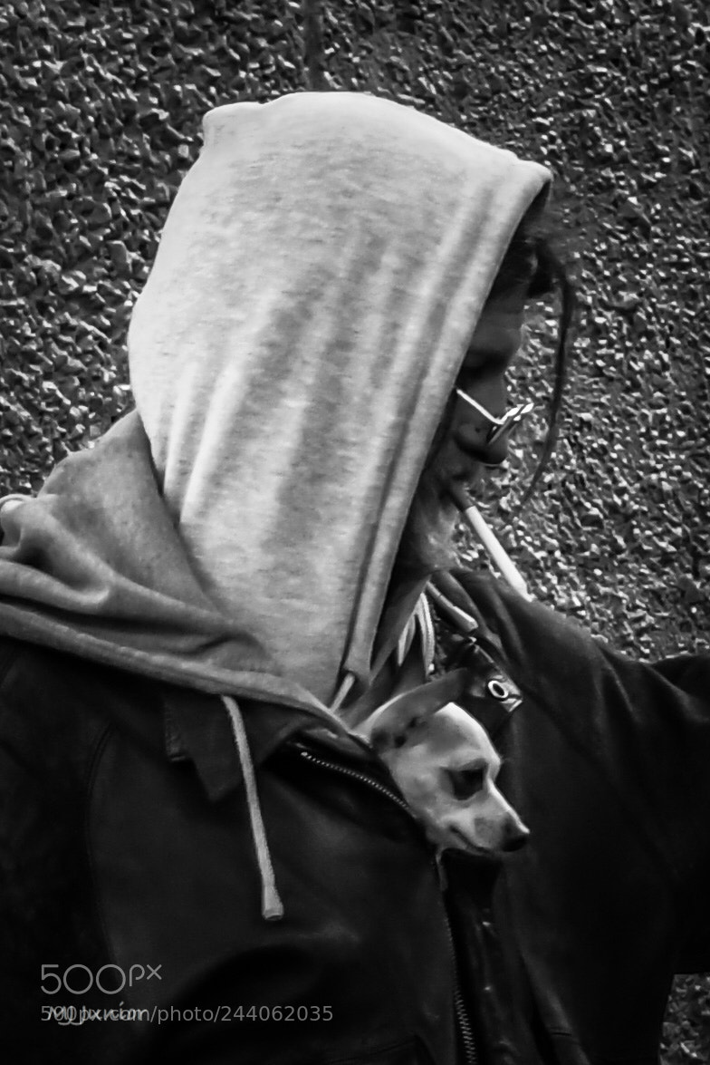 Nikon D7500 sample photo. Peeking... photography