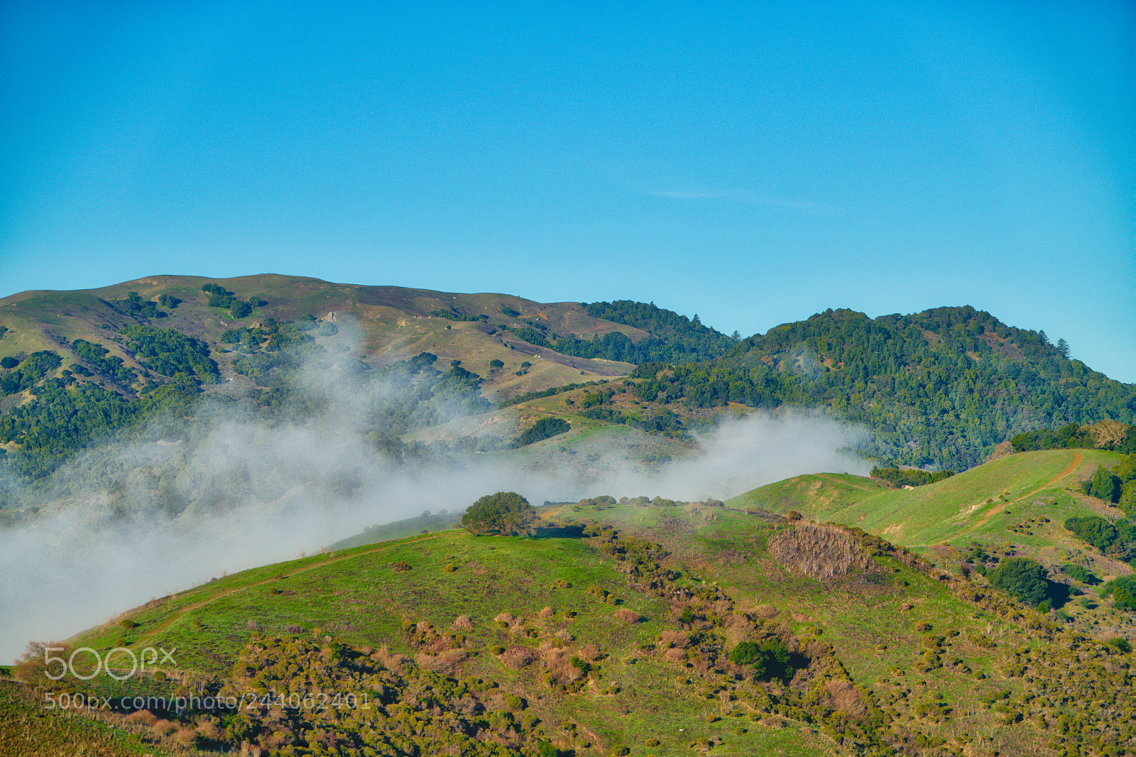Sony a7R II sample photo. Favorite trail, morning fog photography