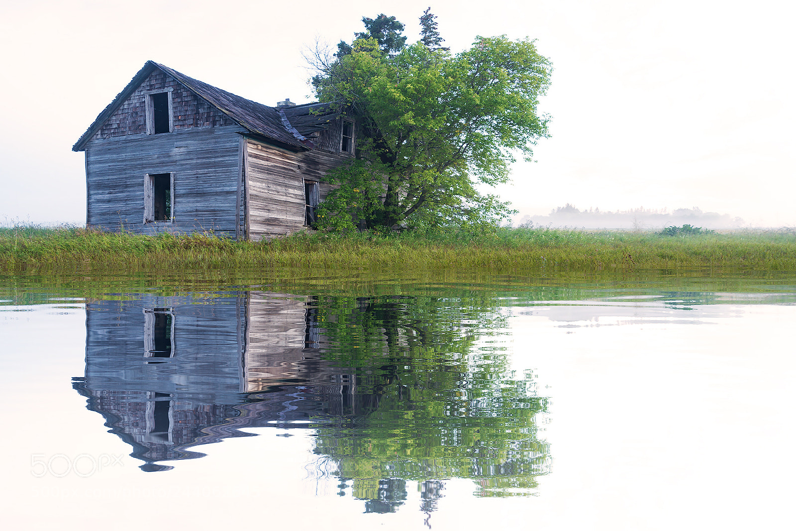 Nikon D600 sample photo. Misty reflection photography