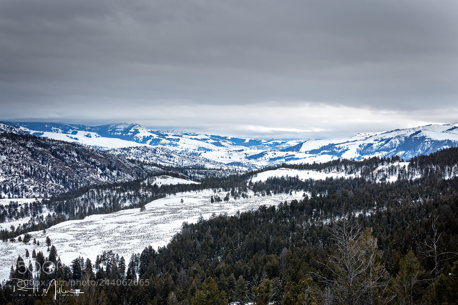 Canon EOS 5DS R sample photo. I feel the blues photography