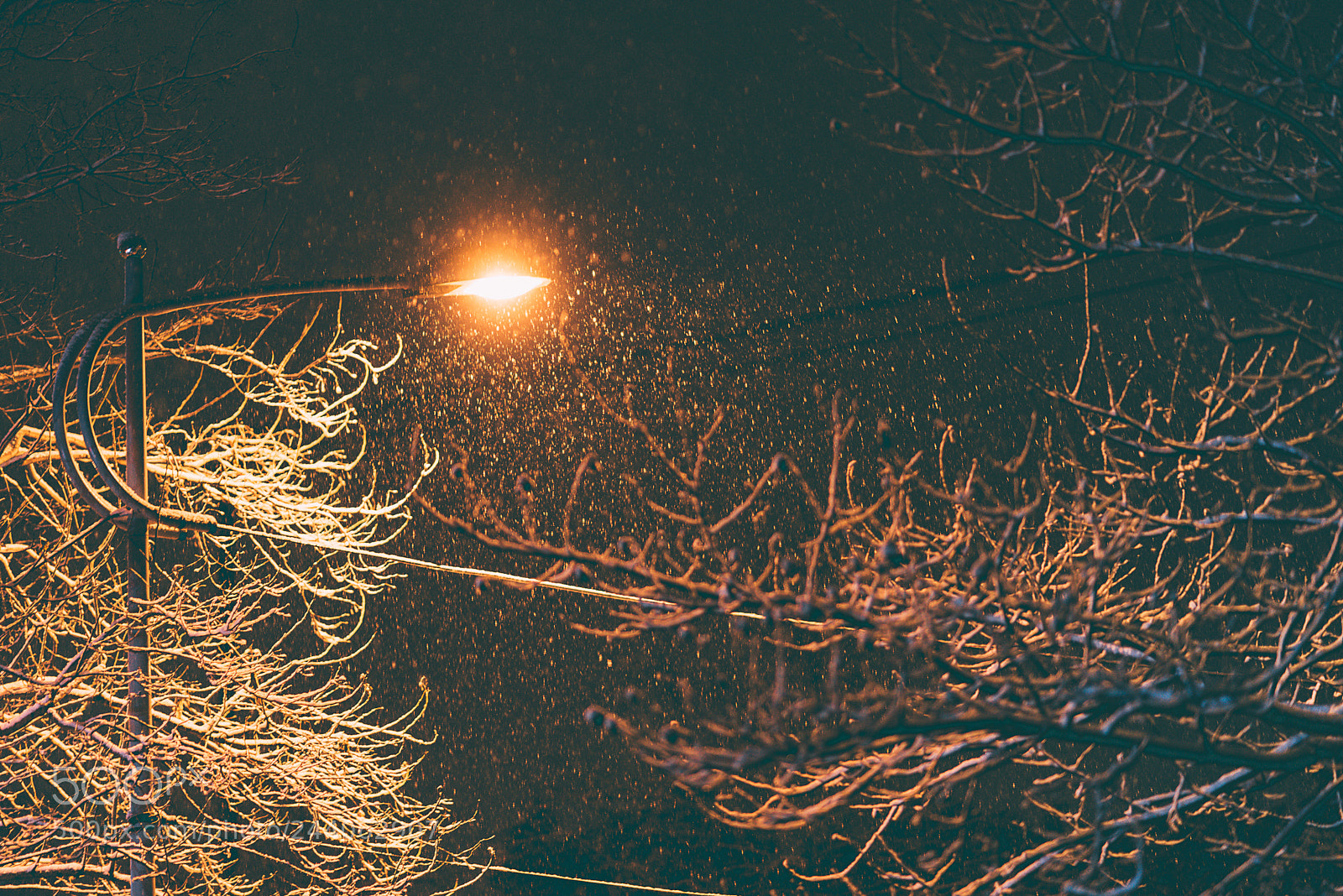 Nikon D810 sample photo. Snowy night photography