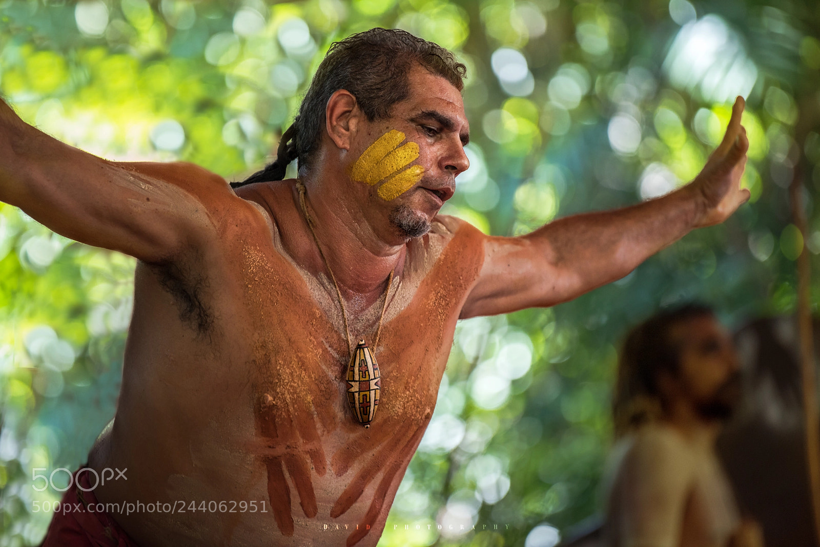 Nikon D810 sample photo. Australian photography
