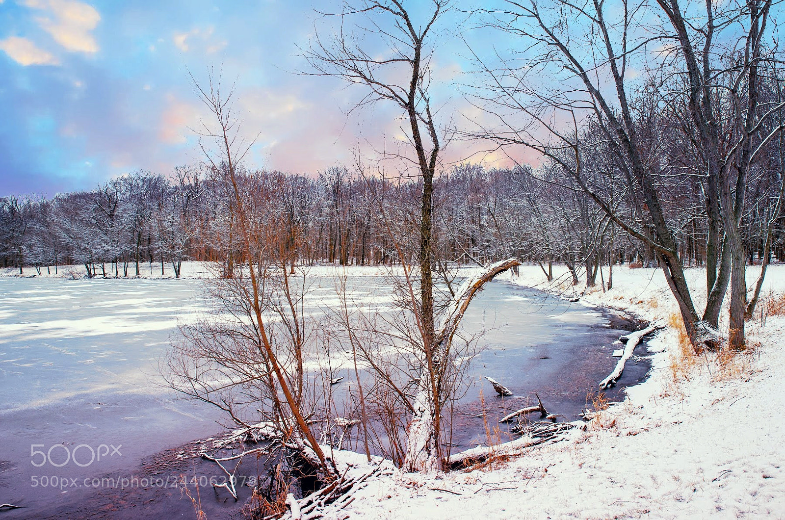 Nikon D600 sample photo. Frozen pond. photography