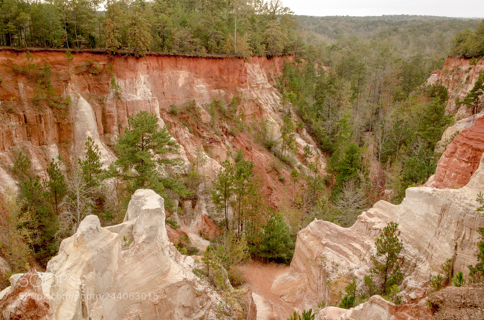 Nikon D5100 sample photo. Providence canyon photography