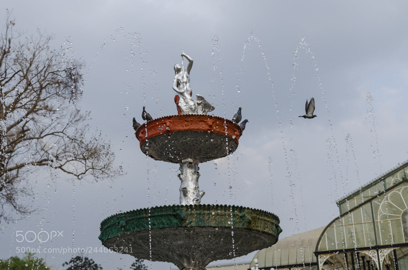 Nikon D5100 sample photo. Untitled photography