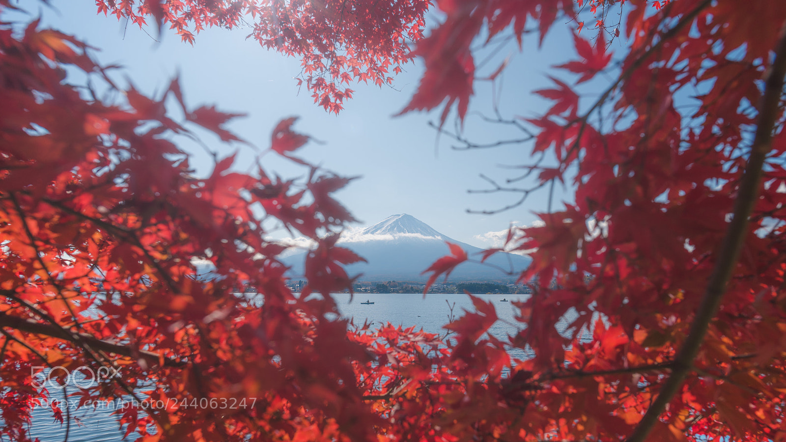 Nikon D750 sample photo. Autumn fujisan photography