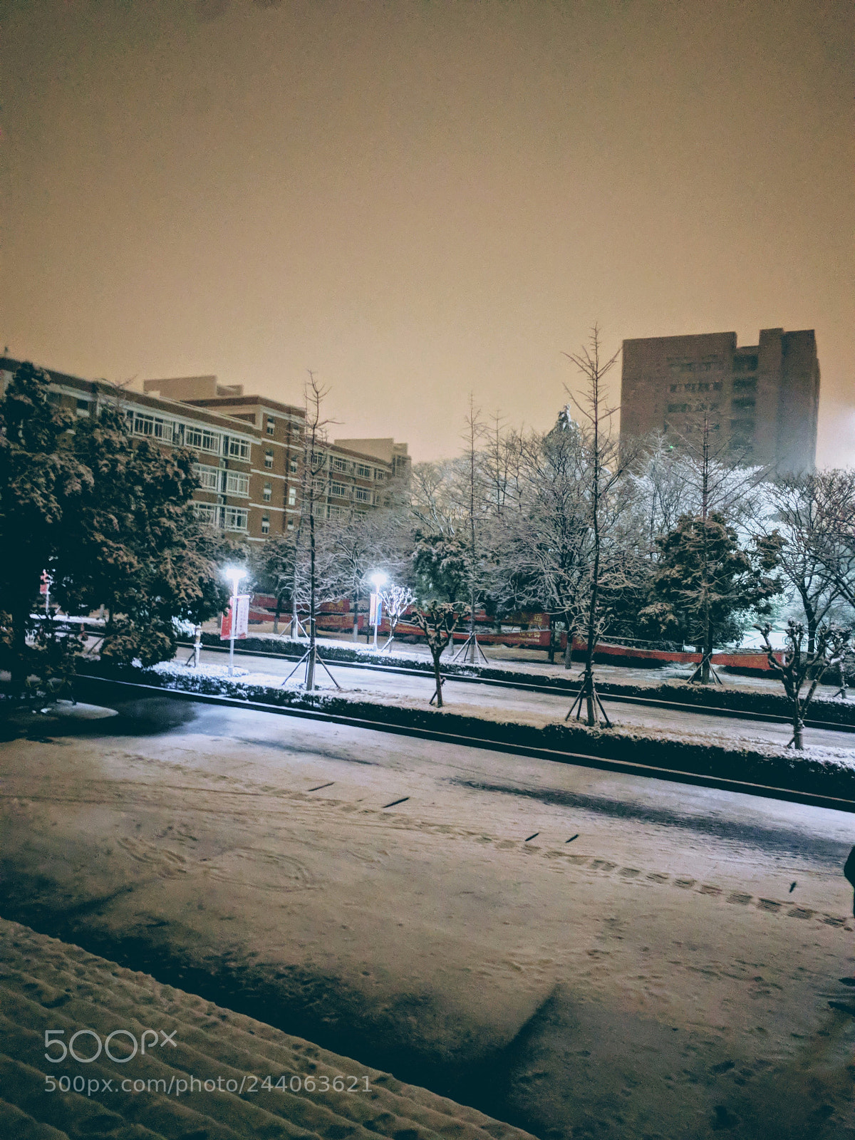 LG Nexus 5X sample photo. Untitled photography