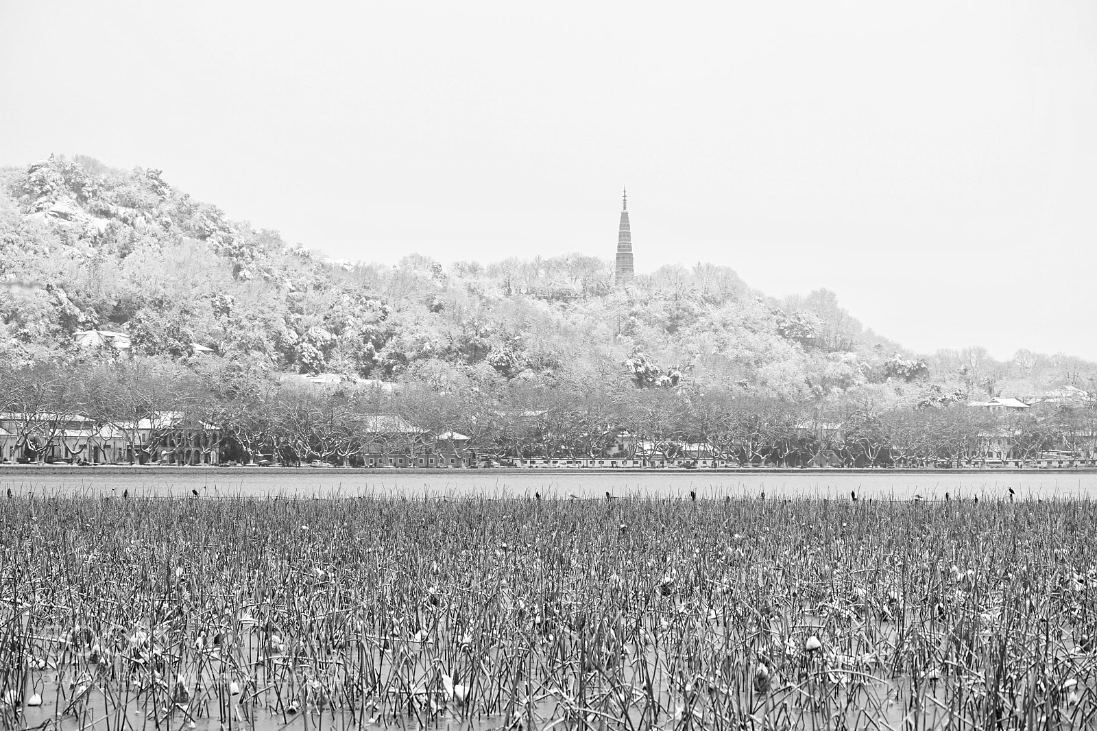 Sony a7 II sample photo. The lake and tower. photography