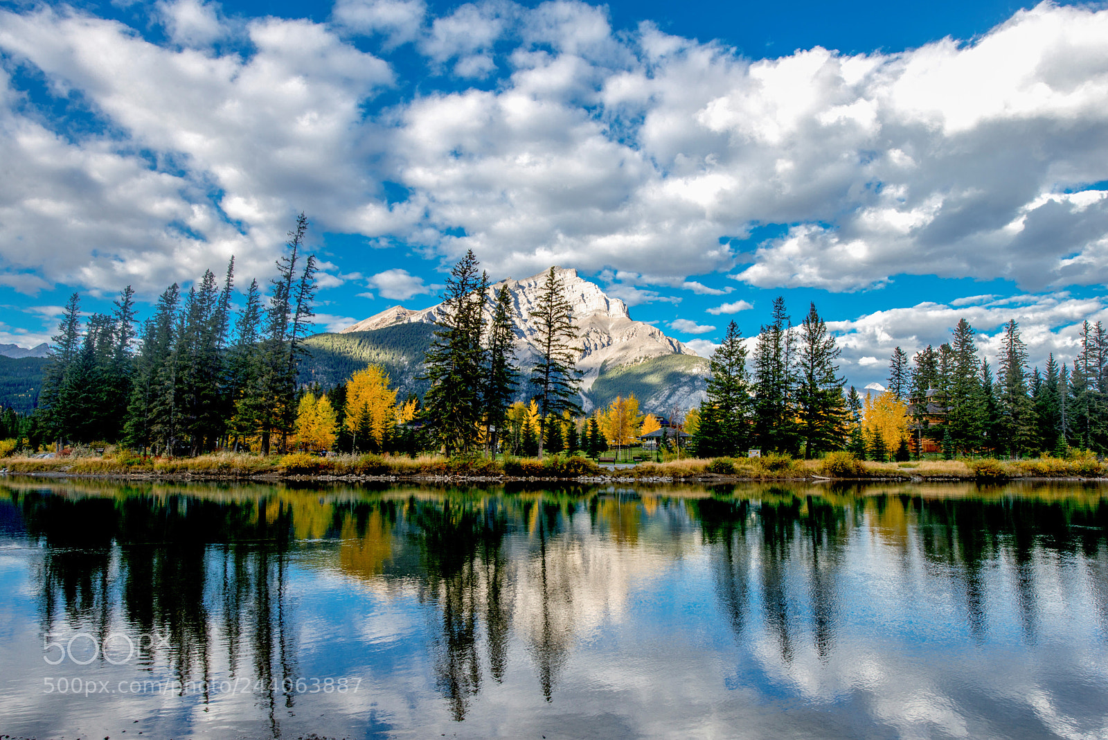 Nikon D800 sample photo. Roadside landscape at banff photography