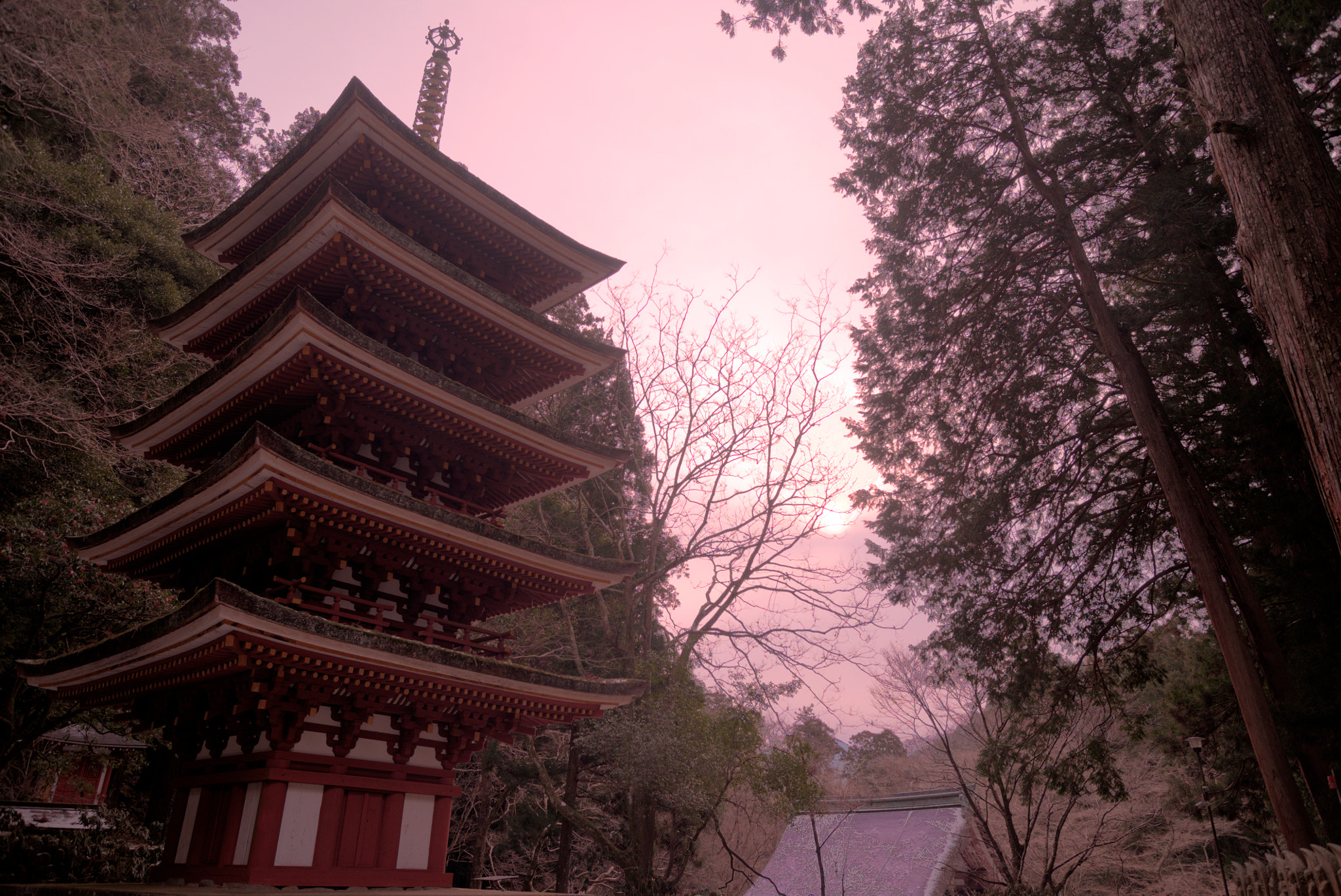 Sony a7S sample photo. Muro-ji photography