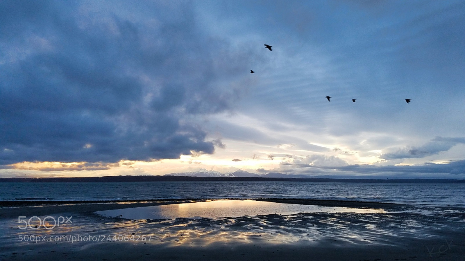 Samsung Galaxy S7 sample photo. Pacific northwest today photography