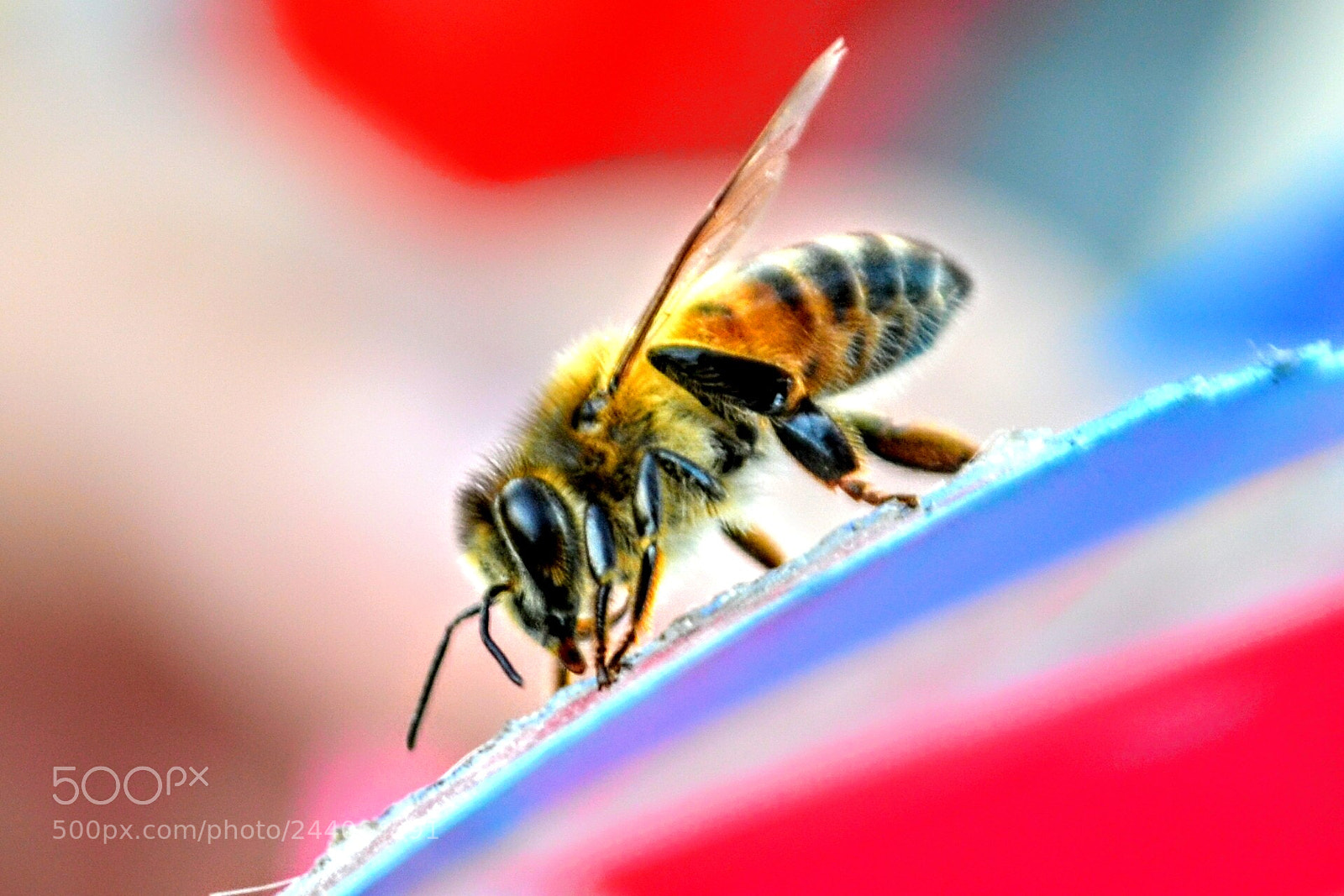 Nikon D5100 sample photo. Untitled photography