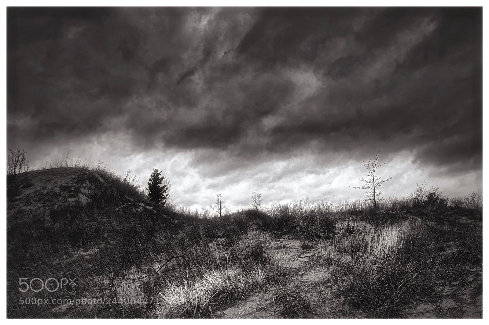 Fujifilm X-Pro2 sample photo. Storm front photography