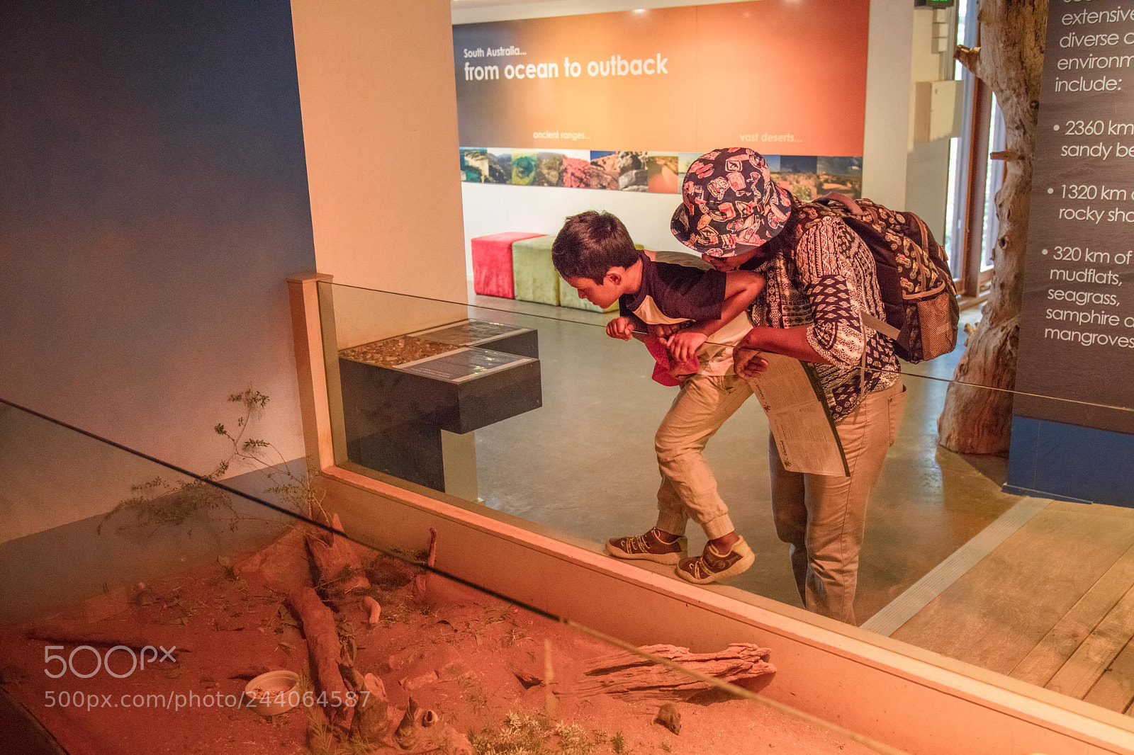 Canon EOS 5DS sample photo. Adelaide zoo photography