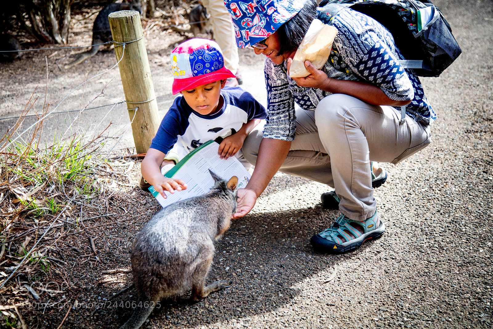 Canon EOS 5DS sample photo. Adelaide zoo photography