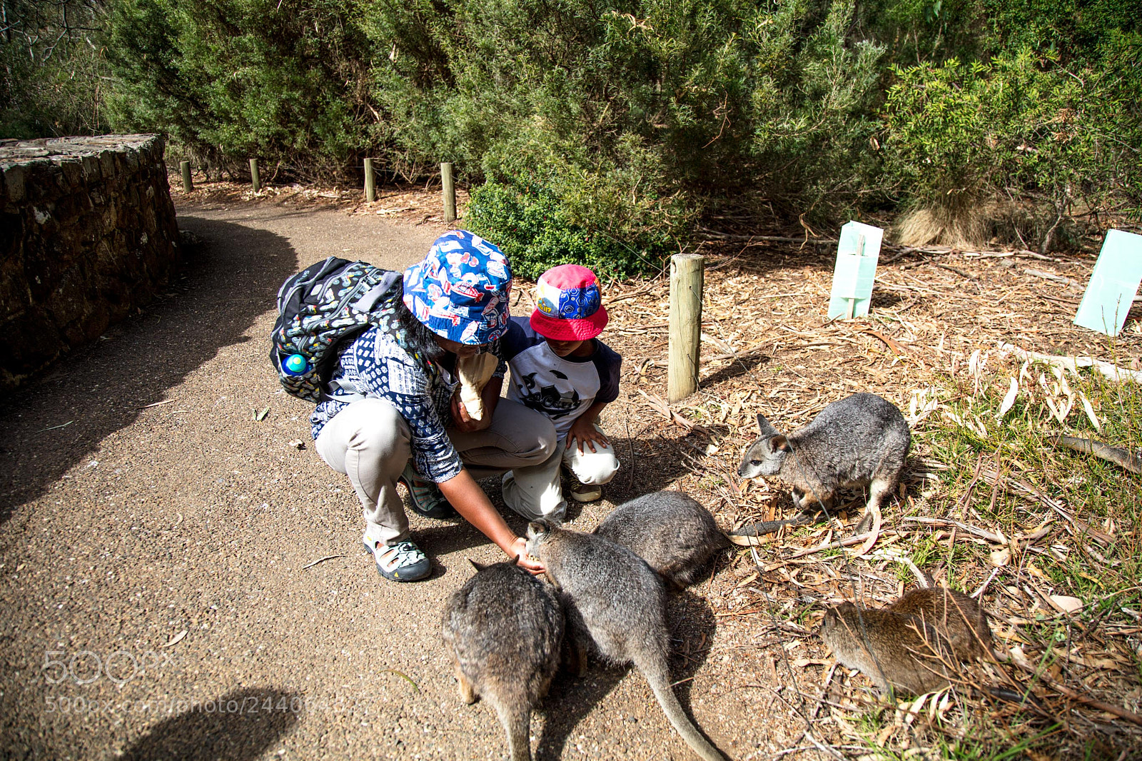 Canon EOS 5DS sample photo. Adelaide zoo photography