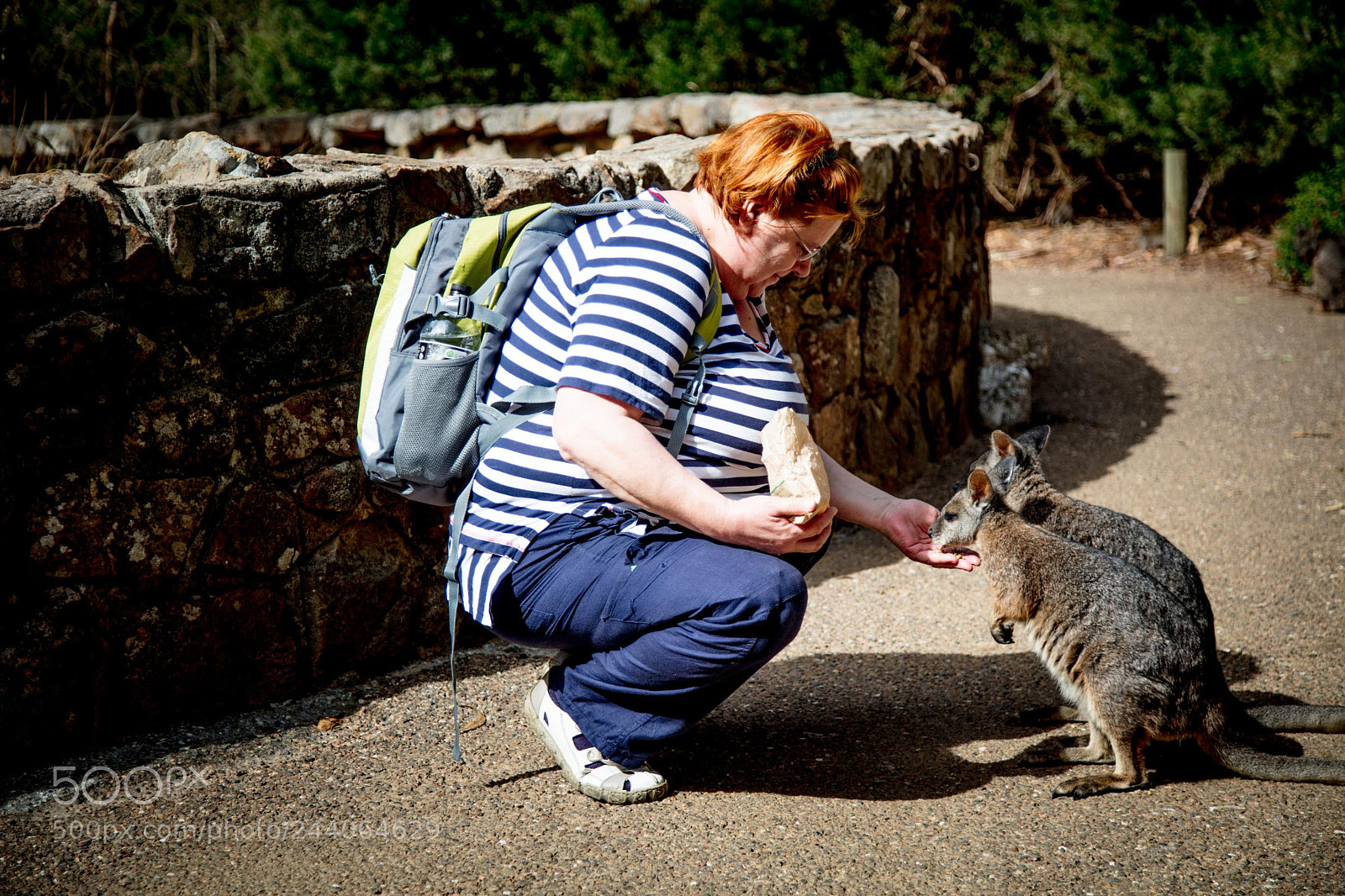 Canon EOS 5DS sample photo. Adelaide zoo photography