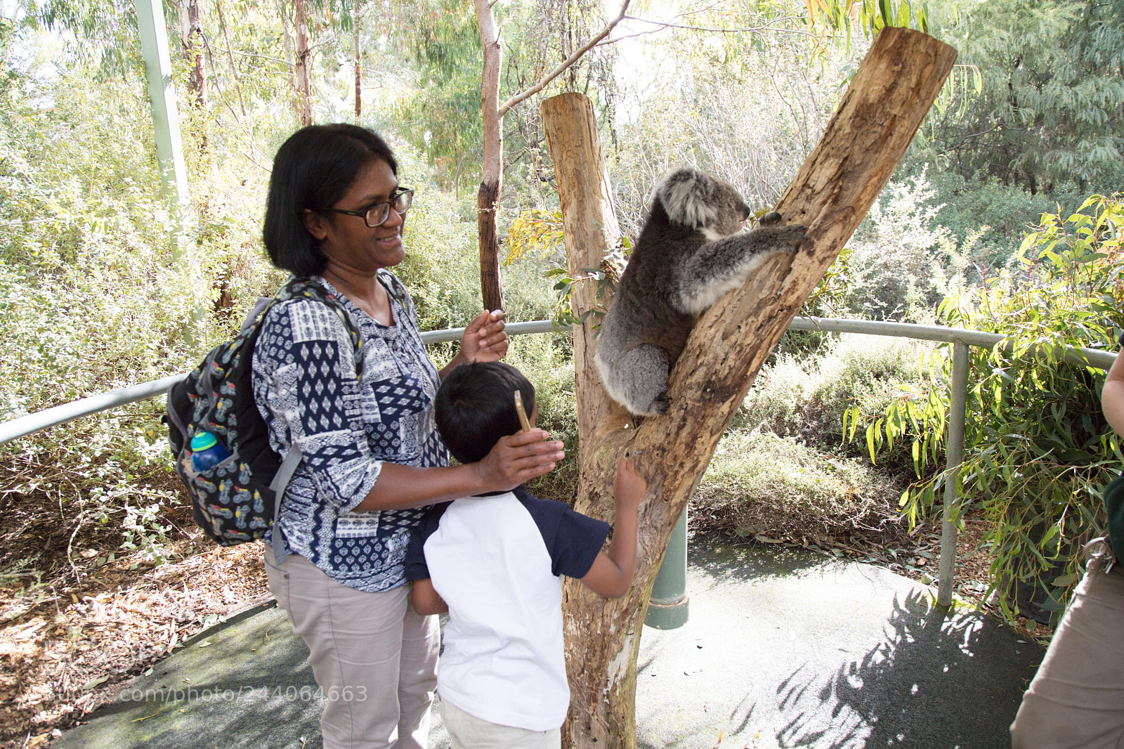 Canon EOS 5DS sample photo. Adelaide zoo photography